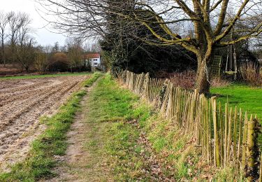 Percorso Marcia Chaumont-Gistoux - Bois³ de Villers, Vieusart & Brocsous - Photo