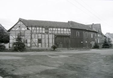 Tocht Te voet Hörselberg-Hainich - DE-gelber Balken - Photo