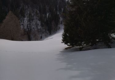 Trail Walking Lans-en-Vercors - 38 la moliere - Photo