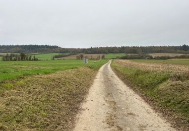 Tour Wandern Beauraing - Pondrôme 23 km - Photo