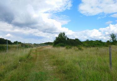 Trail Walking Larçay - Larcay - 12km - 2016 05 28 - Photo