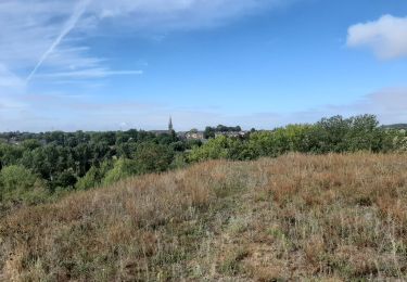 Excursión Senderismo Courcelles - Souvret - Photo