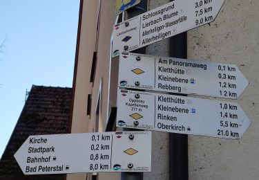 Randonnée A pied Bad Peterstal-Griesbach - Breitenberg-Maisach-Oppenau - Photo