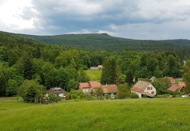 Trail Walking Le Hohwald - LE HOHWALD - Photo