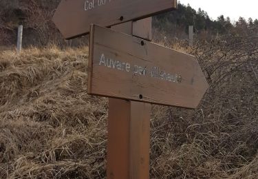 Trail Walking La Croix-sur-Roudoule - Auvare Mont - Photo