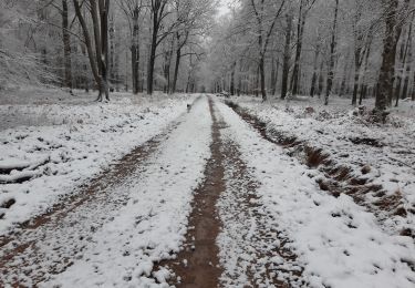 Tour Wandern Baelen - hestreux 12 km - Photo