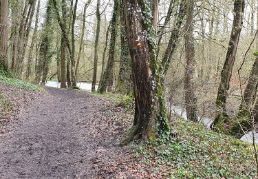 Tocht Stappen Chimay - Vielles- Lompret - Photo