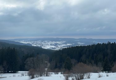 Tocht Sneeuwschoenen Métabief - Les hauteurs de Metabief - Photo