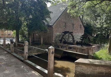 Randonnée Vélo électrique Wellin - Froidlieu-Eprave par le ravel - Photo