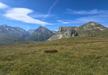 Tocht Stappen Val-Cenis - 2024 Mont Froid  - Photo