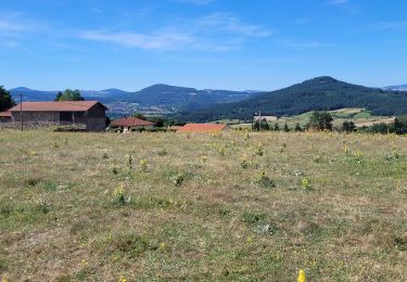 Tocht Elektrische fiets Le Puy-en-Velay - **** 140723 - Photo