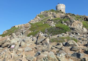 Randonnée Marche Ajaccio - Les iles Sanguinaires. Corse - Photo