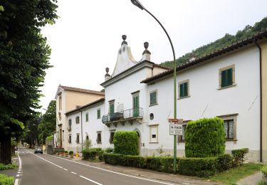 Randonnée A pied Borgo San Lorenzo - Sorgenti di Firenze Trekking – Anello 17: Dai castagni ai faggi del Mugello - Photo