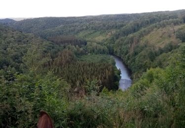 Randonnée Randonnée équestre Bouillon - Dohan - Photo