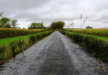 Tour Zu Fuß Aubel - Balade de la Bel - Photo