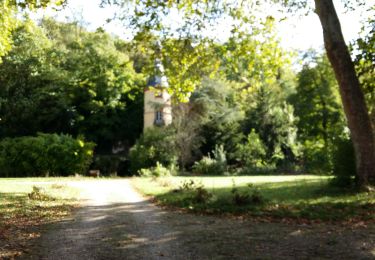 Trail Walking Savigny-le-Temple - Cesson - Photo
