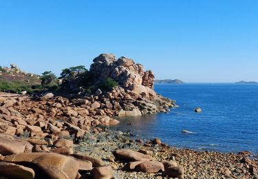 Trail Walking Perros-Guirec - LE SENTIER DES DOUANIERS  - Photo