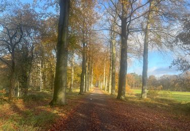 Trail Walking Turnhout - 67.019 Vosselaar - Vossenpad - Photo