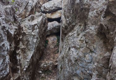 Tocht Stappen Ollioules - Grottes Monnier et Patrimoine  - Photo