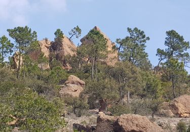 Tocht Stappen Fréjus - Mont Vinaigre - Photo