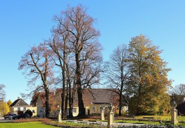 Tocht Te voet Gemeinde Zwettl-Niederösterreich - Schloß Rosenau Rundwanderweg - Photo