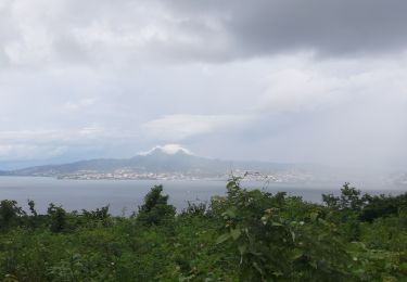 Trail Walking Les Trois-Îlets - Anse Mitan/Esperance/Fort d'Alet - Photo