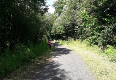 Trail Walking Rocroi - revin saint nicolas bassin witaker - Photo