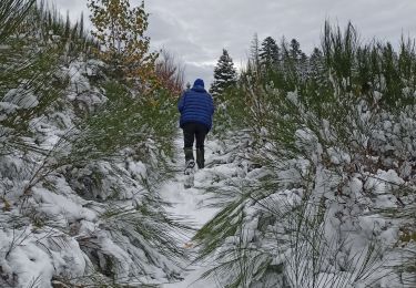 Tour Wandern La Montagne - 23/11/24 - Photo