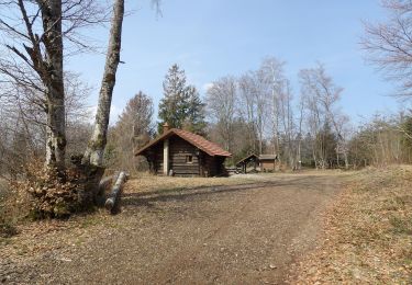Trail Walking Wegscheid - Wegscheid-Stahlberg - Photo