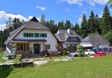 Tour Zu Fuß Kirchschlag bei Linz - Untergeng-Kirchschlag - Photo