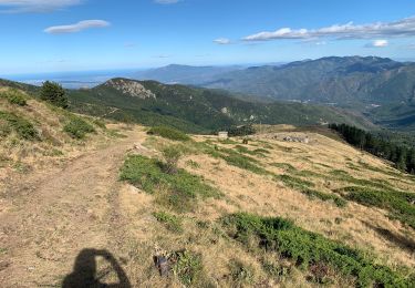 Trail Walking Taurinya - 2022 TRANSPYRÉNÉENNE : refuge les Mariales le Canigou - les Cortalets - Refuge  Bardera - Photo