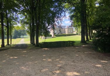 Tocht Stappen Échandelys - Panorama en Livradois-Forez  - Photo