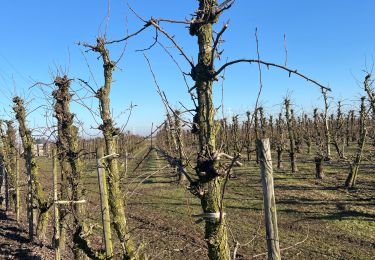 Tocht Stappen Dalhem - Dalhem - Photo