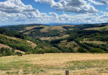 Excursión Bici de montaña Mably - Les Grands Murcins par Renaison - Photo