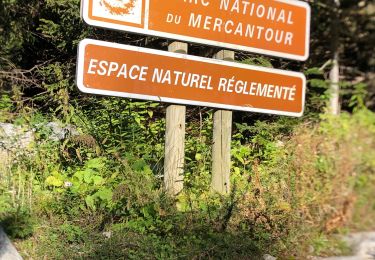 Tour Wandern Saint-Martin-Vésubie - Lac Negre et pas de Prefouns - Photo