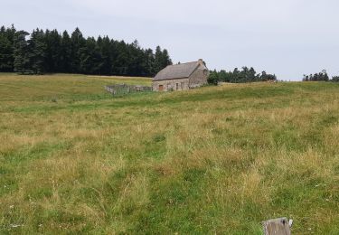 Excursión Senderismo Allanche - balade autour d'Allanche - Photo