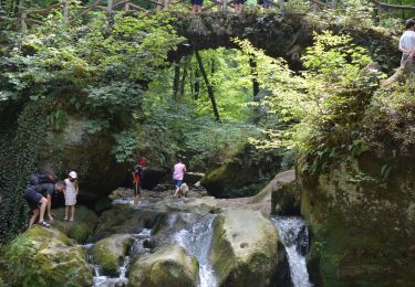 Percorso A piedi Waldbillig - mullerthal-2- 9.7 km  (102) - Photo