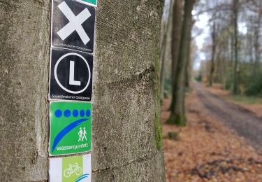 Tocht Te voet Lindlar - Rundweg A4 (Thier) - Photo