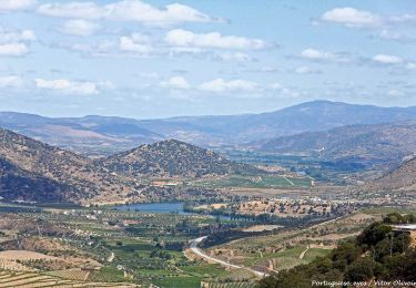 Trail On foot  - Da Poboa às Barcas do Douro - Photo