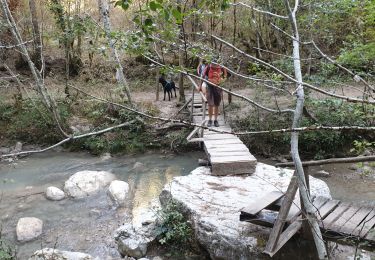 Trail Walking Estoublon - gorges de Trévans 6 septembre 2020 - Photo