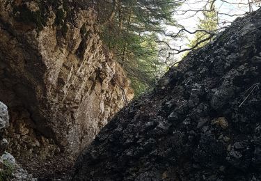 Trail Walking Rencurel - Pas de Pertuson et falaise de Méaudre - Photo