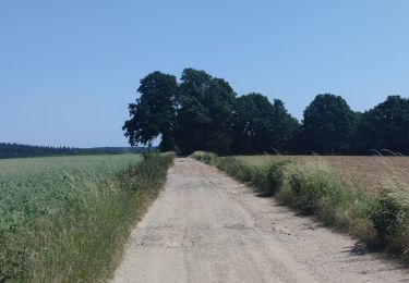 Trail Walking Villers-la-Ville - A la découverte de Villers-la-Ville  - Photo