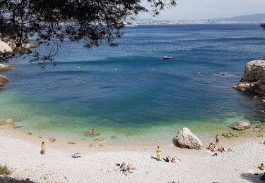 Tocht Stappen Le Rove - Niolon - Plage de Figuerolles, retour par l'intérieur  - Photo