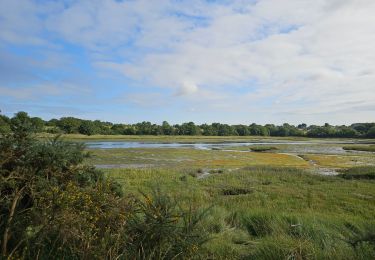 Tour Wandern Vannes - Balade_004 - Photo