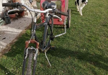 Trail Bicycle tourism Hornoy-le-Bourg - tronchoy-wathieville - Photo