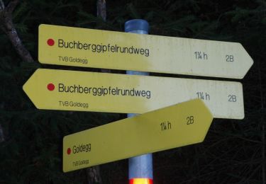 Tocht Te voet Goldegg - Buchberg-Gipfelrundweg - Photo