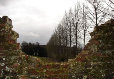 Randonnée Marche Grez-Doiceau - #180312 - Néthen et le sud-ouest de la forêt de Meerdael**** - Photo