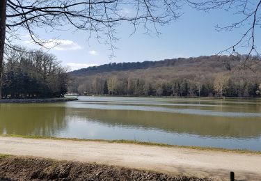 Randonnée Marche Vittel - Vittel : des parcs aux lacs - Photo