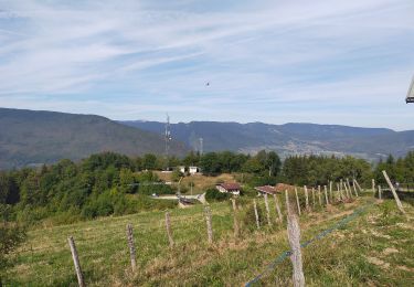 Tour Wandern Le Châtelard - Châtelard  - Photo