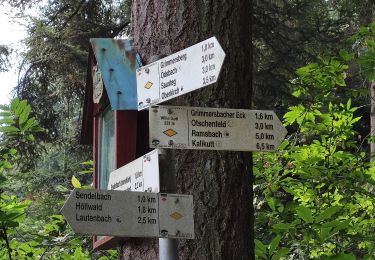 Trail On foot Lautenbach - Lautenbacher Teufelsteig - Photo